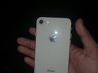 Apple iPhone 8 (Used)