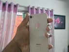 Apple iPhone 8 (Used)