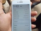 Apple iPhone 8 (Used)
