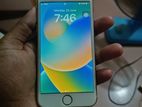 Apple iPhone 8 (Used)