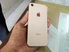 Apple iPhone 8 (Used)
