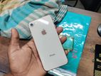 Apple iPhone 8 (Used)