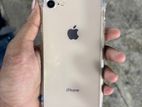 Apple iPhone 8 (Used)