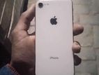 Apple iPhone 8 (Used)