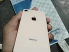 Apple iPhone 8 (Used)