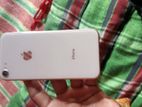 Apple iPhone 8 (Used)