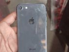 Apple iPhone 8 (Used)