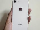 Apple iPhone 8 (Used)