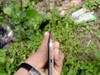 Apple iPhone X . (Used)