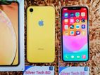 Apple iPhone XR 128-GB(🔋77%) (Used)