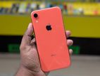 Apple iPhone XR 128Gb (Used)