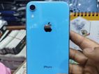 Apple iPhone XR 2025 (Used)