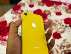 Apple iPhone XR 256 gb with box (Used)