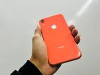 Apple iPhone XR 3/64GB 78% (Used)