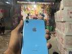 Apple iPhone XR 4.9 ⭐️ (Used)