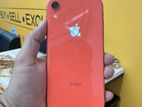 Apple iPhone XR 64 Fresh condition (Used)