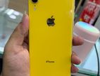 Apple iPhone XR 64 gb (Used)