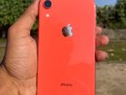 Apple iPhone XR 64GB (Used)