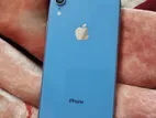 Apple iPhone XR 64 (Used)