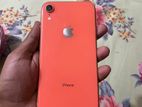 Apple iPhone XR 64GB (Used)