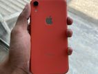 Apple iPhone XR 64Gb (Used)