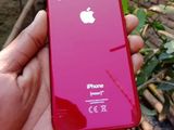 Apple iPhone XR 64GB (Used)