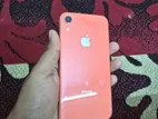 Apple iPhone XR 64GB (Used)