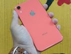 Apple iPhone XR (64GB) (Used)