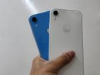 Apple iPhone XR FRESH 64GB (Used)