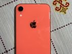 Apple iPhone XR USA/64 (Used)