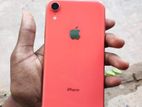 Apple iPhone XR (Used)