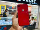 Apple iPhone XR (Used)