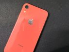 Apple iPhone XR (Used)
