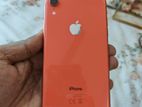 Apple iPhone XR (Used)