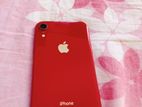 Apple iPhone XR (Used)