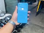 Apple iPhone XR (Used)