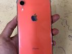 Apple iPhone XR (Used)