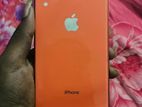 Apple iPhone XR (Used)