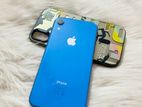 Apple iPhone XR (Used)