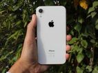 Apple iPhone XR (Used)