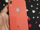 Apple iPhone XR (Used)