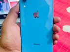 Apple iPhone XR (Used)