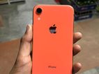 Apple iPhone XR (Used)