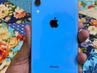 Apple iPhone XR (Used)