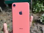 Apple iPhone XR (Used)