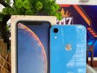 Apple iPhone XR (Used)