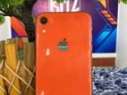 Apple iPhone XR (Used)