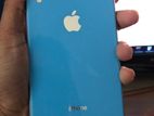 Apple iPhone XR (Used)