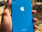 Apple iPhone XR (Used)