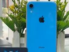 Apple iPhone XR (Used)